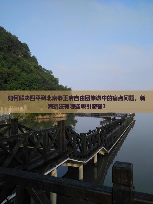 如何解决四平到北京恭王府自由团旅游中的痛点问题，新潮玩法有哪些吸引游客？
