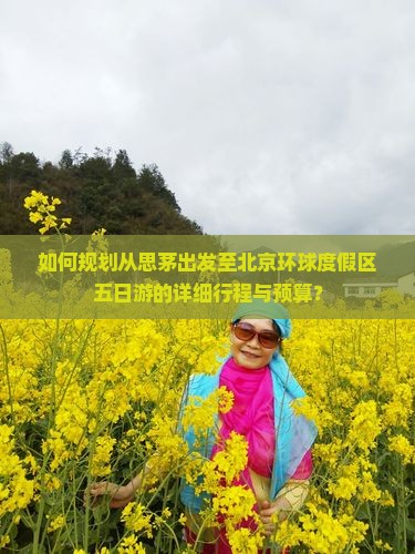 如何规划从思茅出发至北京环球度假区五日游的详细行程与预算？