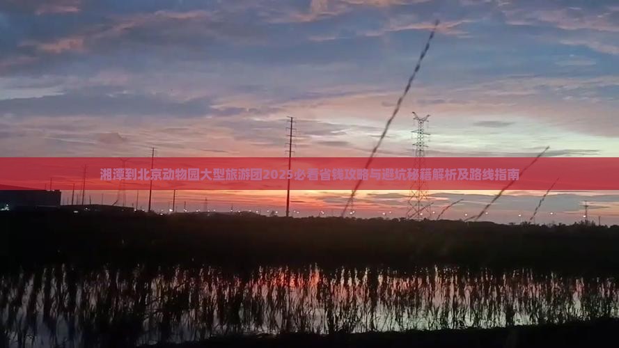 湘潭到北京动物园大型旅游团