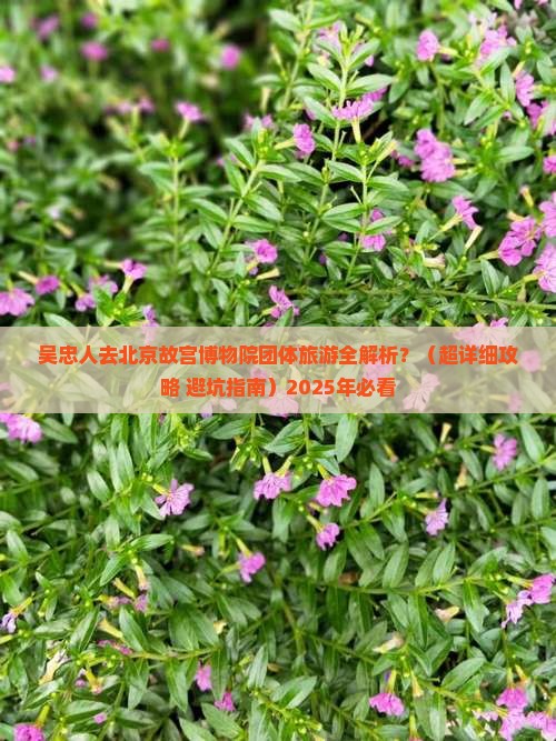 吴忠去北京故宫博物院团体旅游