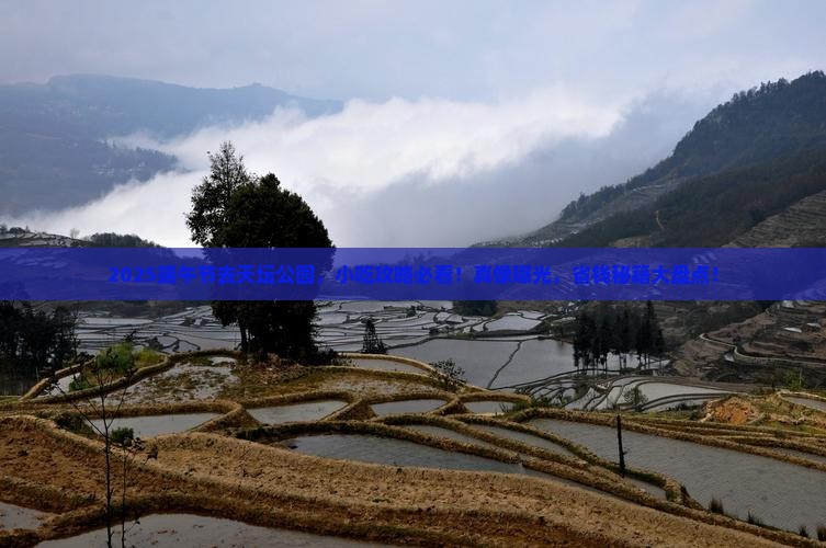 端午节去北京天坛公园旅游小吃