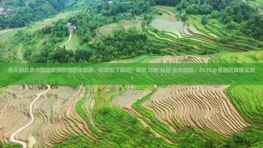 春天到北京中国国家博物馆团体旅游