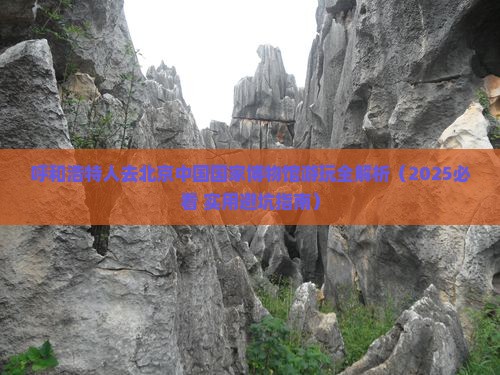呼和浩特去北京中国国家博物馆必去地