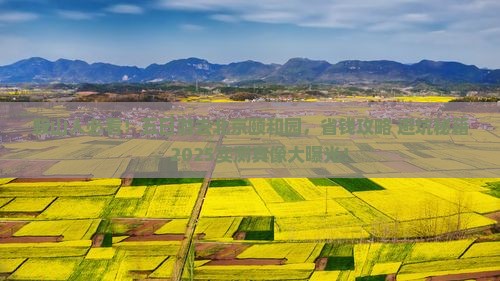 鞍山去北京颐和园五日游