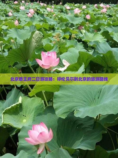 呼伦贝尔去北京恭王府二日游