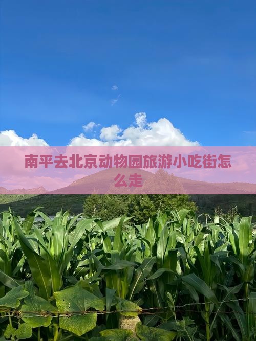 南平去北京动物园旅游小吃