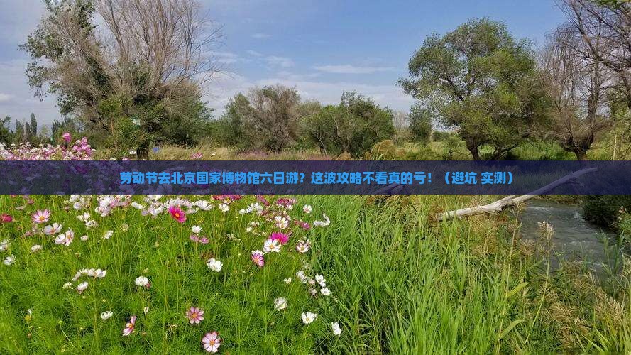 劳动节到北京中国国家博物馆六日游