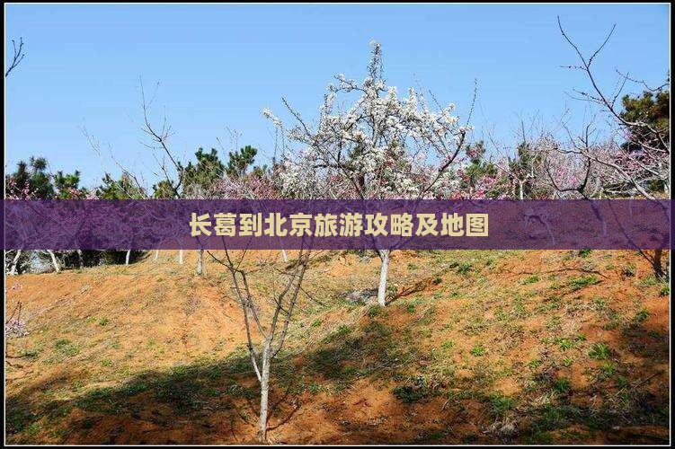 长葛到北京自由行