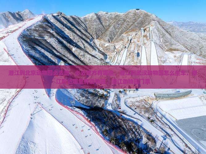 潜江到北京动物园必去地