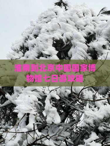 淮南到北京中国国家博物馆七日游