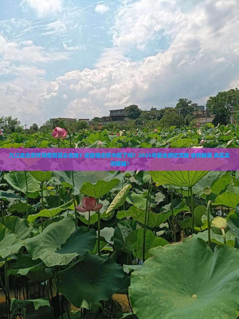 九江去北京环球度假区必去地