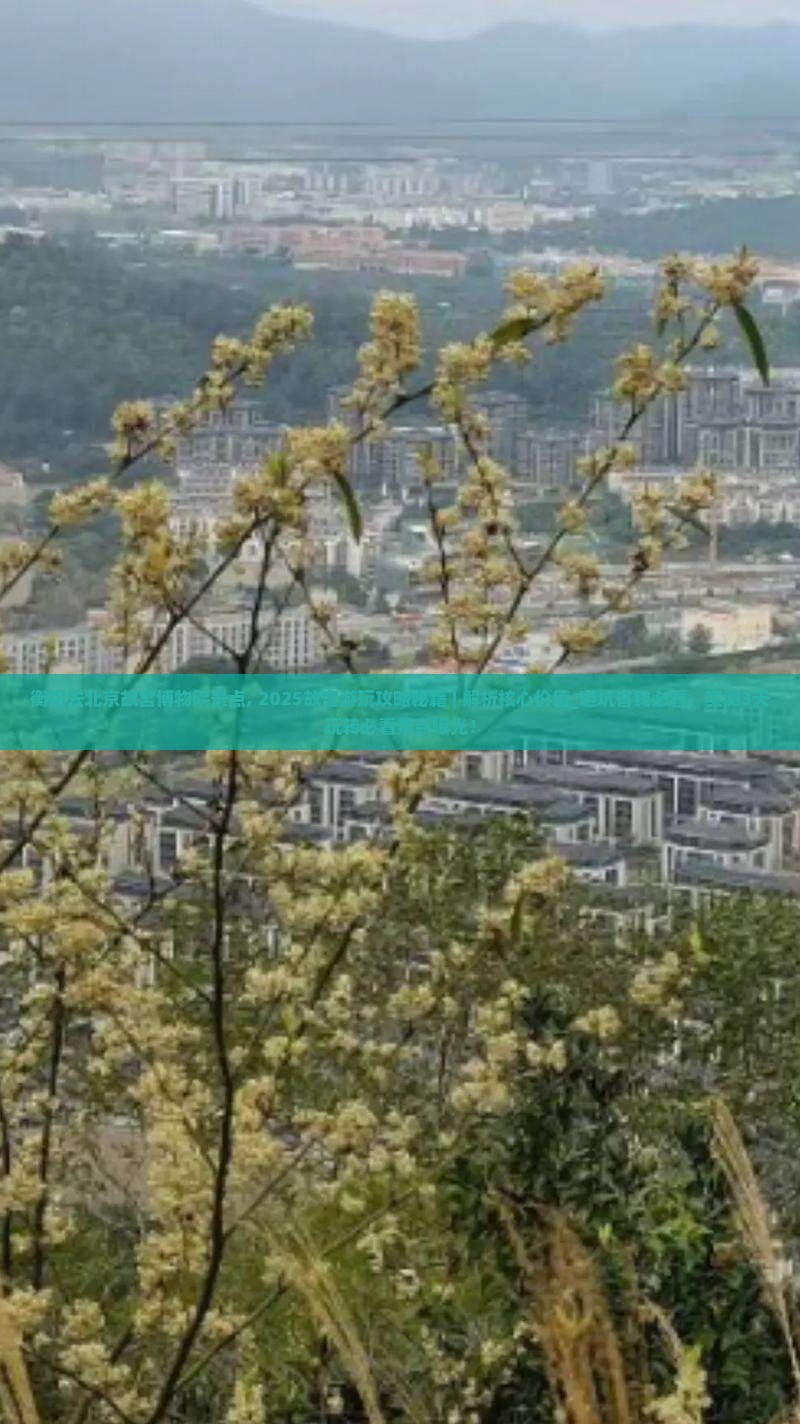 衡阳去北京故宫博物院景点