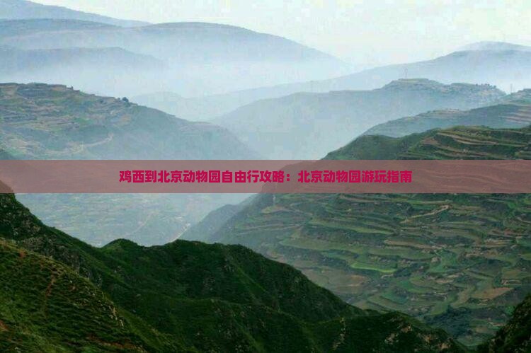 鸡西到北京动物园自由行