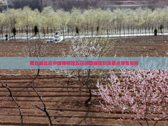 商丘去北京中国国家博物馆五日游