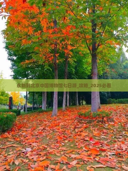 永新到北京中国国家博物馆七日游