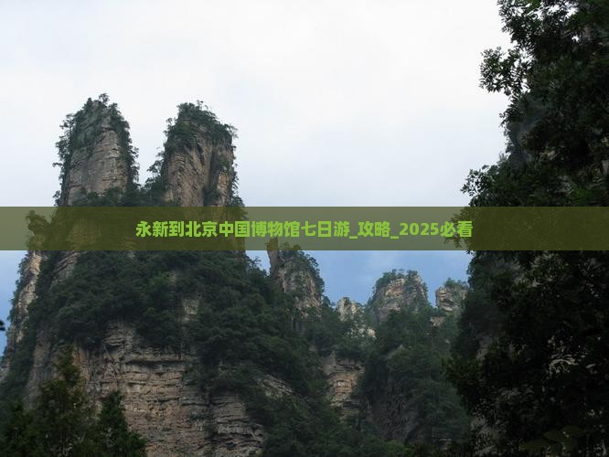 永新到北京中国国家博物馆七日游