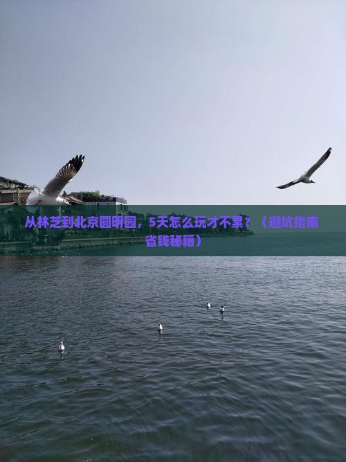林芝去北京圆明园遗址公园五日游