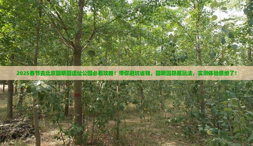 春节去北京圆明园遗址公园旅行社