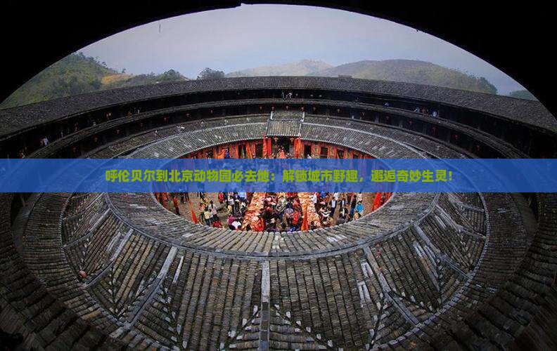 呼伦贝尔到北京动物园必去地