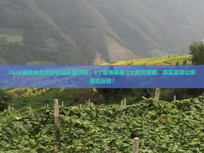 襄樊去北京动物园攻略