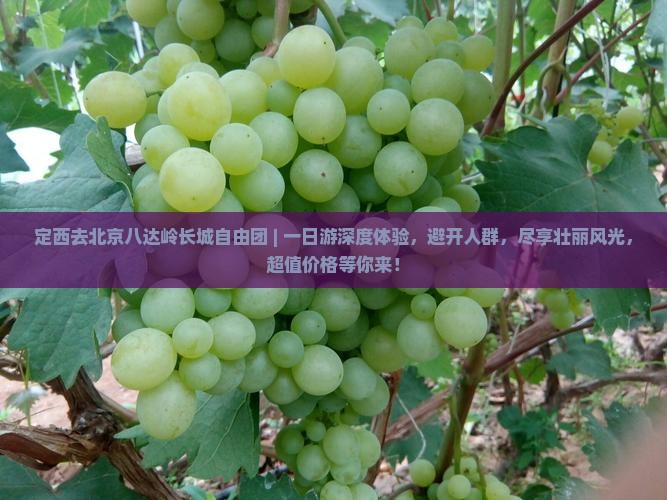 定西去北京八达岭长城自由团