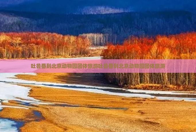 吐鲁番到北京动物园团体旅游
