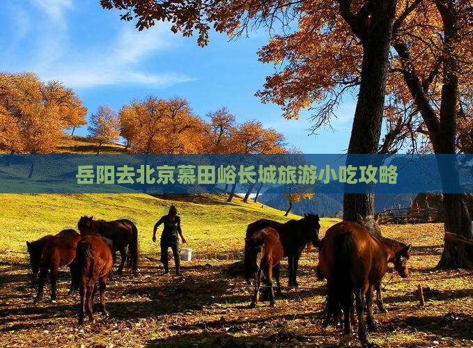 岳阳去北京慕田峪长城旅游小吃