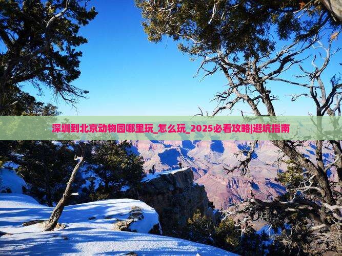 深圳到北京动物园哪里玩