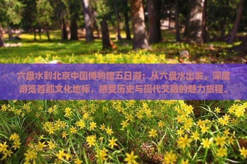 六盘水到北京中国国家博物馆五日游