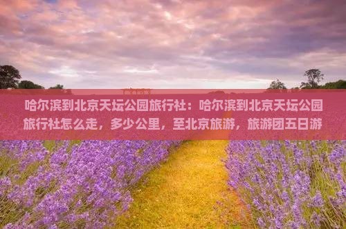哈尔滨到北京天坛公园旅行社