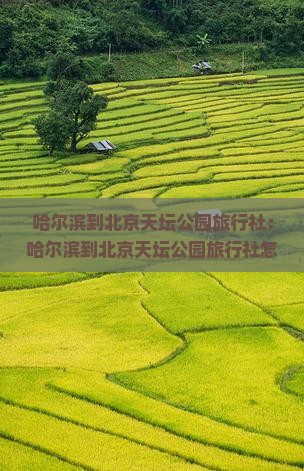 哈尔滨到北京天坛公园旅行社