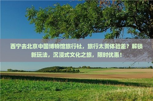 西宁去北京中国国家博物馆旅行社