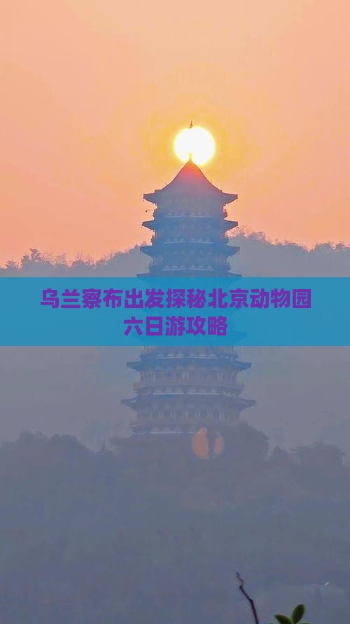 乌兰察布出发探秘北京动物园六日游攻略