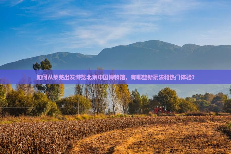 如何从莱芜出发游览北京中国博物馆，有哪些新玩法和热门体验？