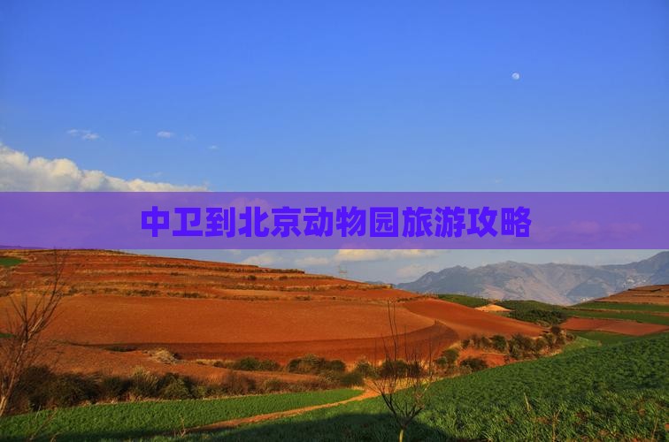中卫到北京动物园旅游攻略