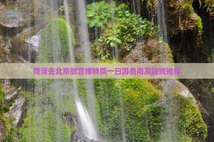 菏泽去北京故宫博物院一日游费用及路线推荐