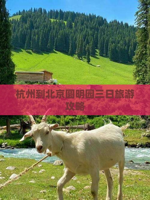 杭州到北京圆明园三日旅游攻略