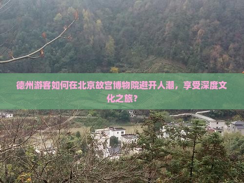 德州游客如何在北京故宫博物院避开人潮，享受深度文化之旅？