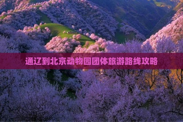 通辽到北京动物园团体旅游路线攻略