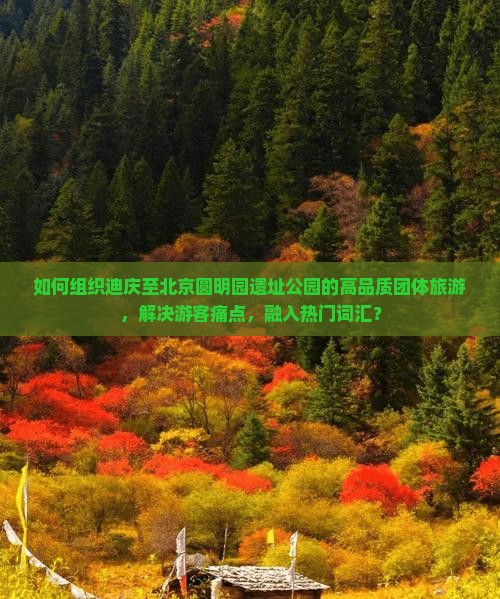 如何组织迪庆至北京圆明园遗址公园的高品质团体旅游，解决游客痛点，融入热门词汇？