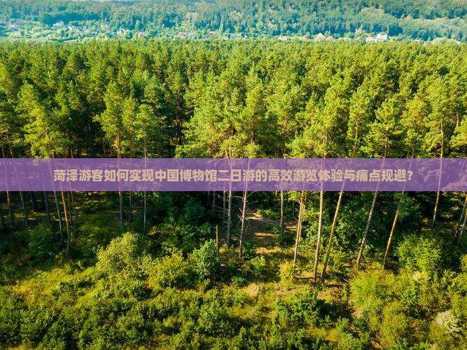 菏泽游客如何实现中国博物馆二日游的高效游览体验与痛点规避？