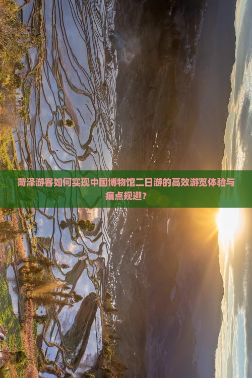 菏泽游客如何实现中国博物馆二日游的高效游览体验与痛点规避？