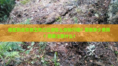 德宏到北京恭王府三日游怎么安排行程？需要多少费用？需要注意什么？