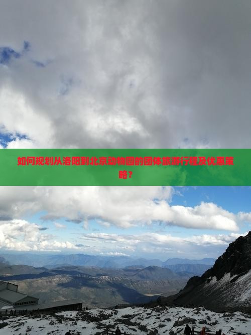 如何规划从洛阳到北京动物园的团体旅游行程及优惠策略？