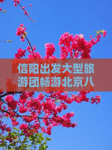 信阳出发大型旅游团畅游北京八达岭长城盛景
