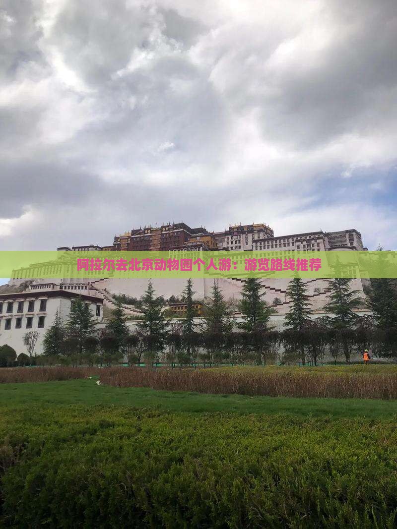 阿拉尔去北京动物园个人游：游览路线推荐
