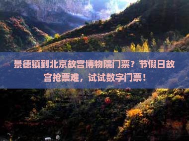 景德镇到北京故宫博物院门票？节假日故宫抢票难，试试数字门票！
