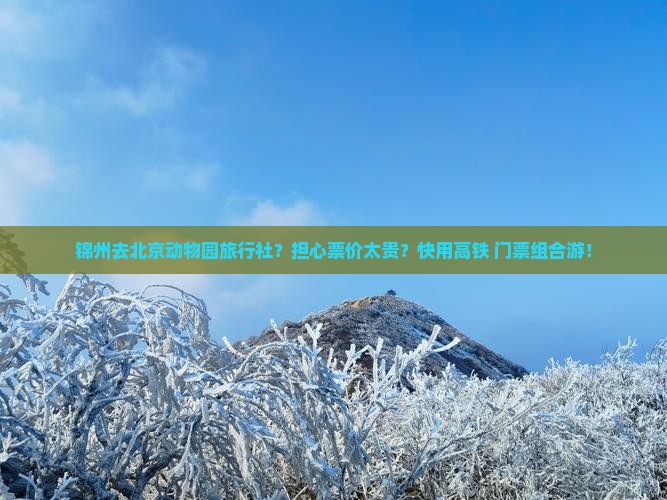 锦州去北京动物园旅行社？担心票价太贵？快用高铁+门票组合游！
