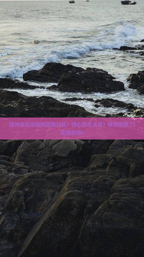 锦州去北京动物园旅行社？担心票价太贵？快用高铁+门票组合游！