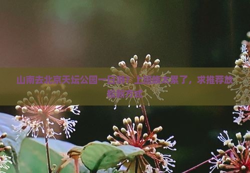 山南去北京天坛公园一日游？上班族太累了，求推荐放松新方式